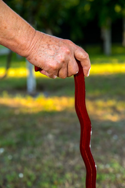 手拿着手杖图片下载