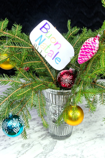 用意大利语说圣诞快乐图片下载