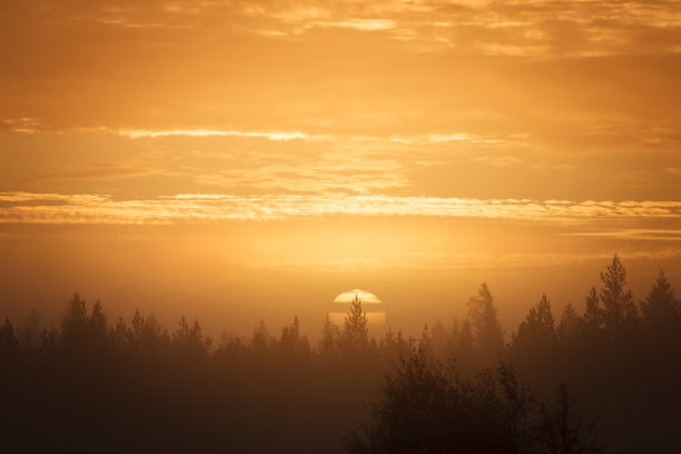 日出森林图片下载