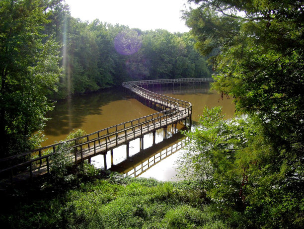鸟瞰木板路和湖图片下载