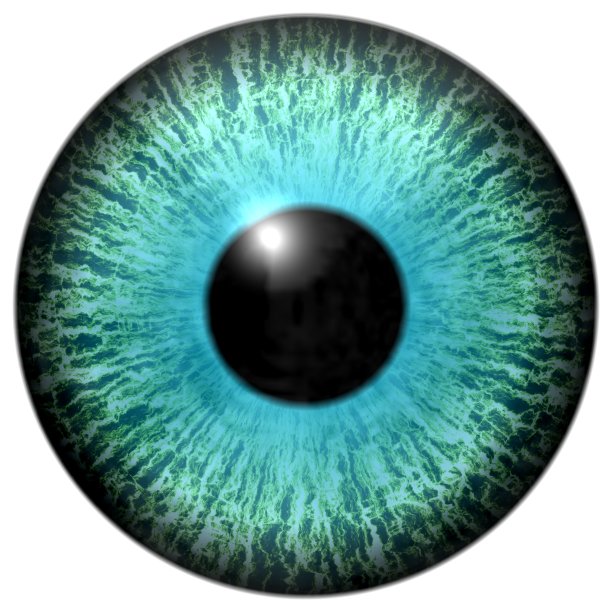 孤立青蓝眼睛插图图片下载