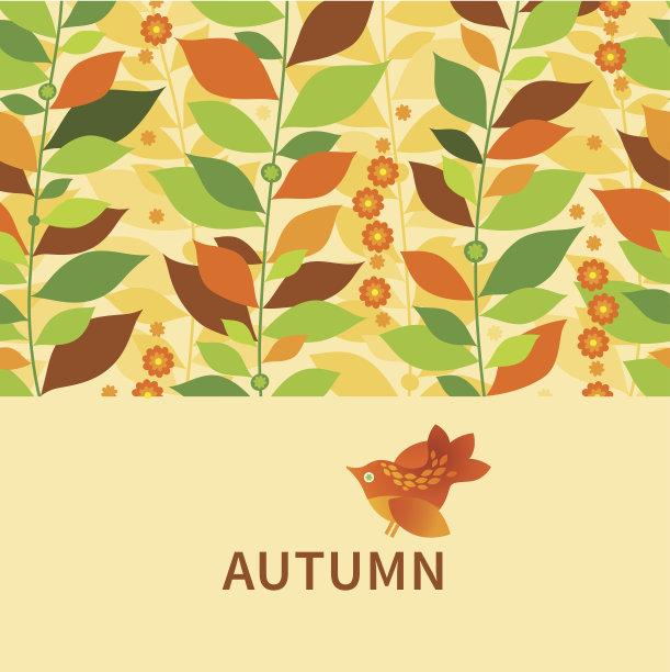 秋季概念无缝边框。图片下载