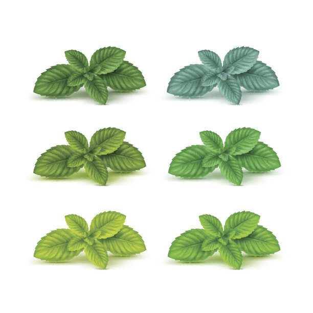 叶子矢量图素材ID：142049812