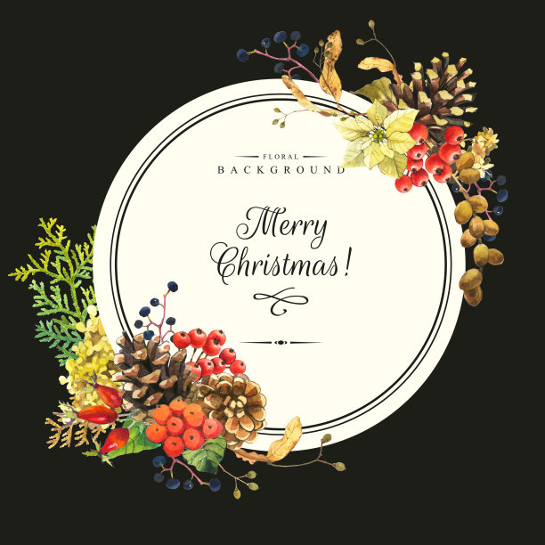 插图与水彩花。圣诞快乐。图片下载