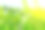 树叶图片素材ID：142060108