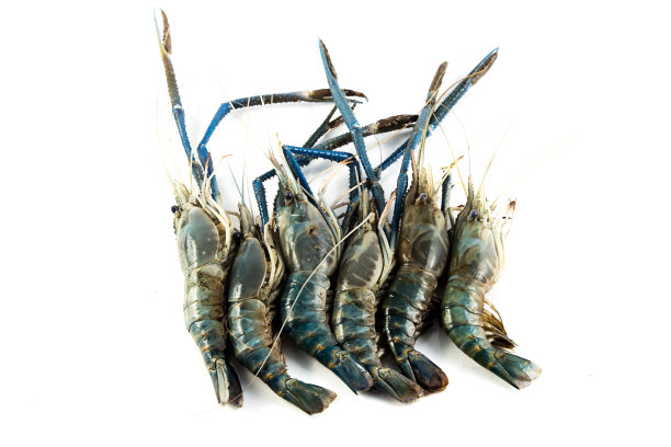 靠近香蕉虾或虾孤立在白色图片下载