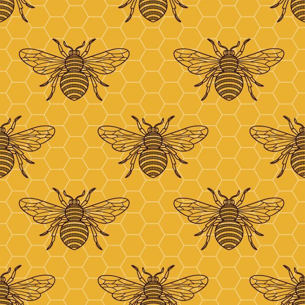 蜜蜂和蜜蜂图片下载