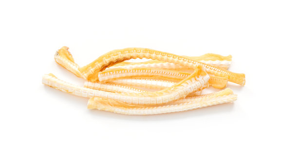 白色背景上的鱼骨图片下载