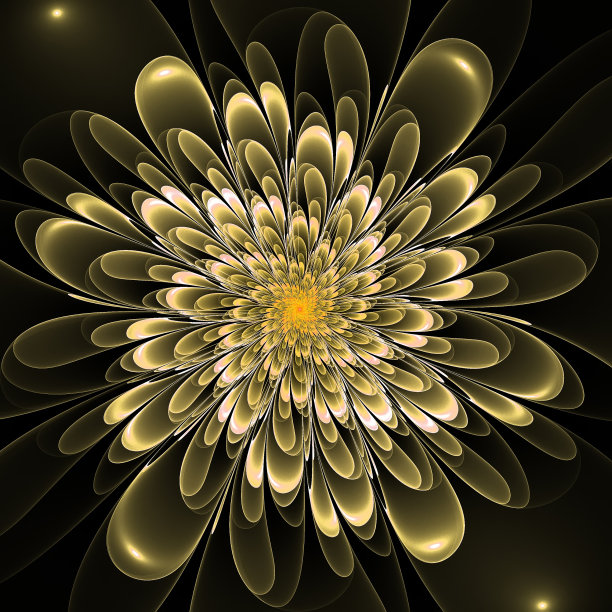 美丽郁郁葱葱的米色花在黑色的背景。图片下载