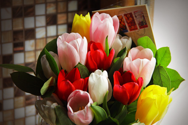 五颜六色的郁金香图片下载