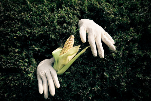 通过对冲图片下载