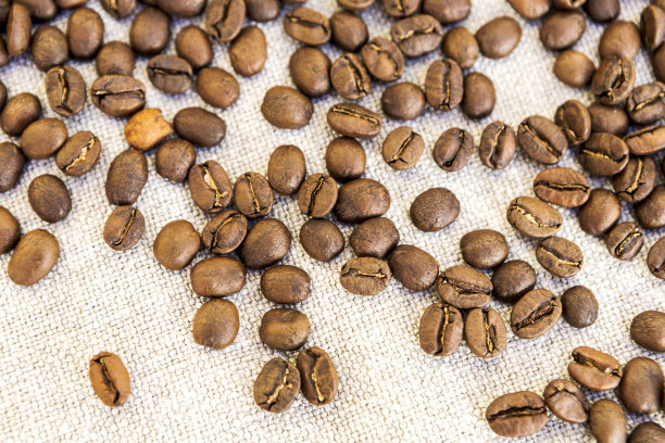 一些豆咖啡图片下载