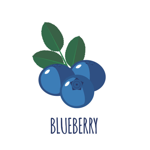 蓝莓图标在平坦风格的白色背景图片下载