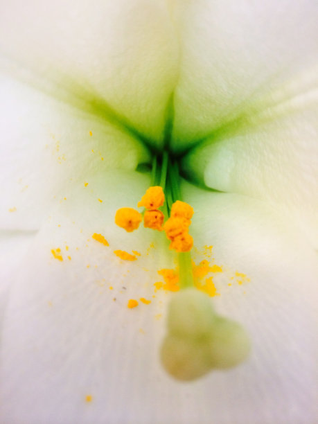 近距离和个人图片下载