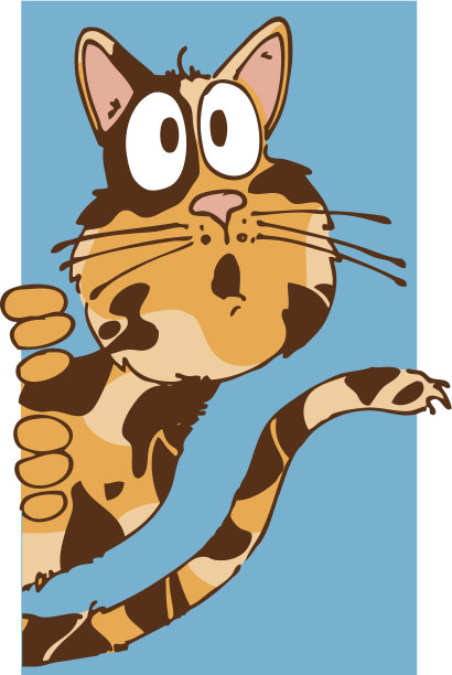 可爱的猫图片下载