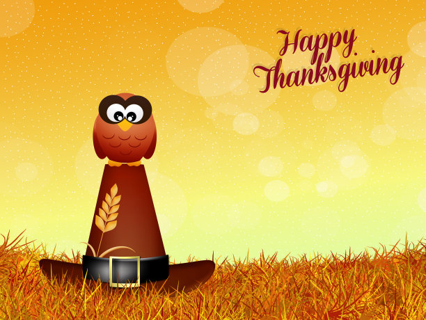 感恩节猫头鹰图片下载