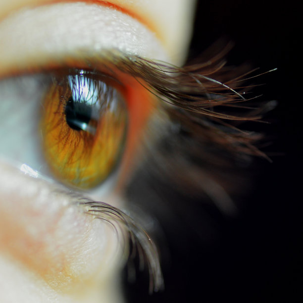 微距棕色/淡褐色人眼图片下载