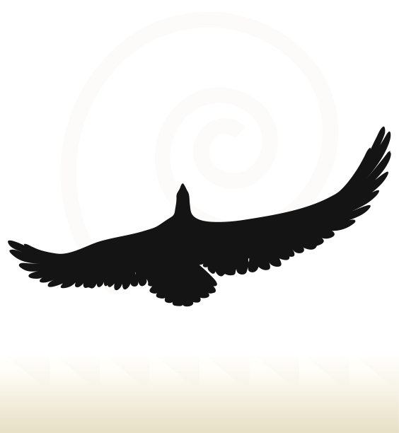 鹰轮廓图片下载