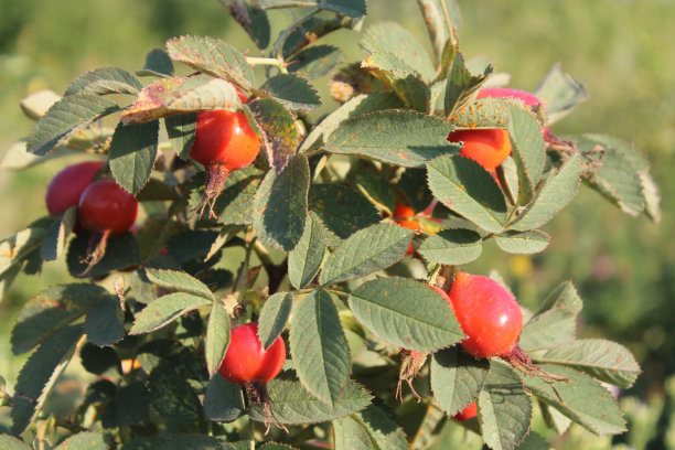 场上涨图片下载