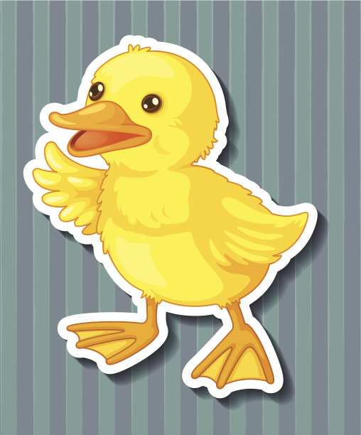 小鸭子图片下载