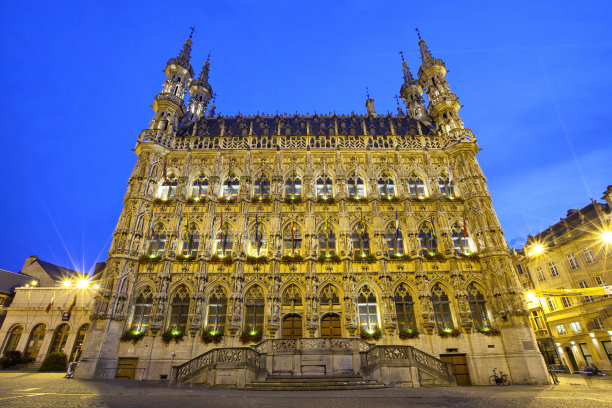 鲁汶夜晚灯光下的哥特式市政厅图片下载