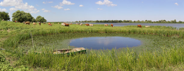 农村景观图片下载