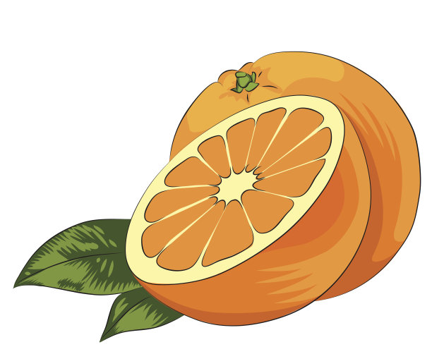 新鲜橙图片下载
