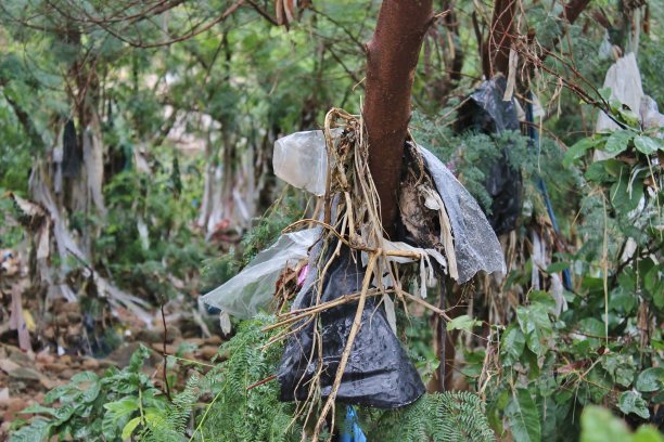河边留下的垃圾图片下载