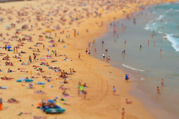 拥挤的邦迪海滩图片下载