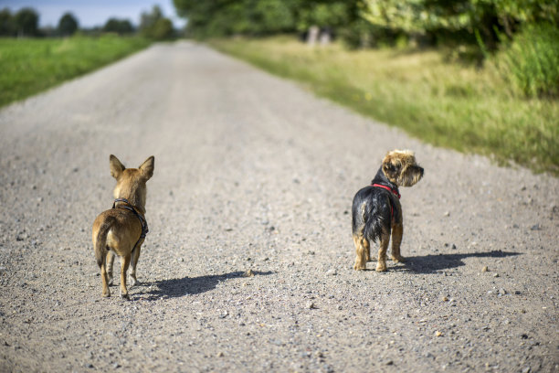 的方式图片下载