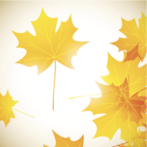 秋天背景图片下载