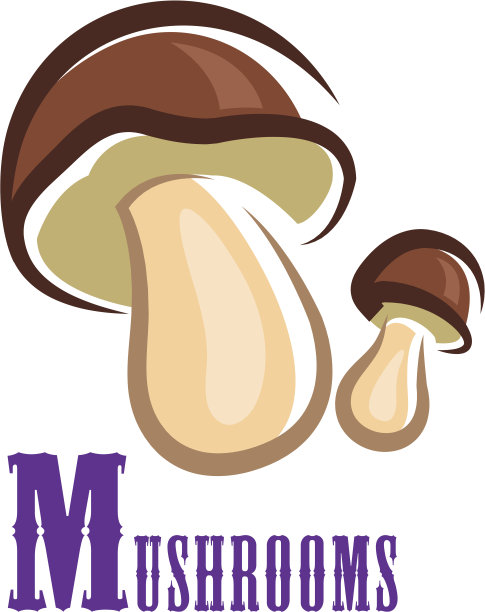 森林色彩斑斓的蘑菇图片下载