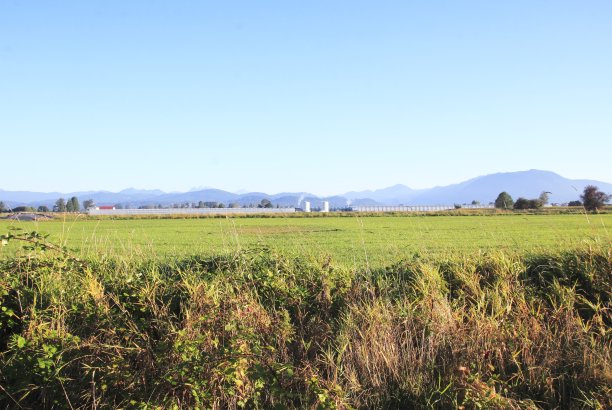 农村地区的工业图片下载