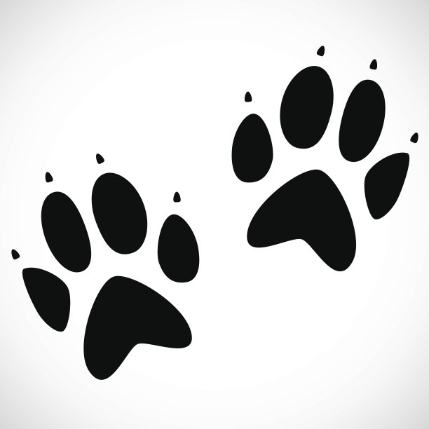 动物打印矢量图标。图片下载