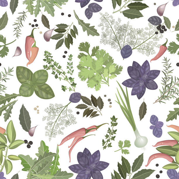 香草和香料的无缝质地图片下载