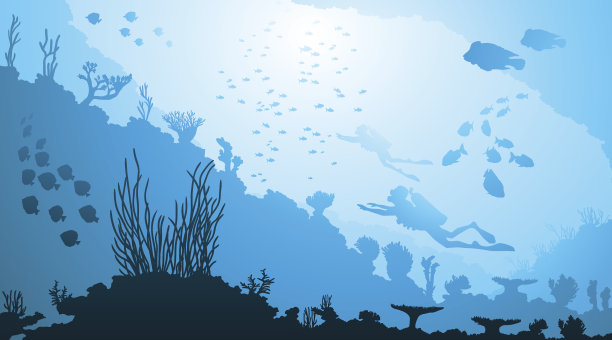 水下潜水和海洋生物图片下载