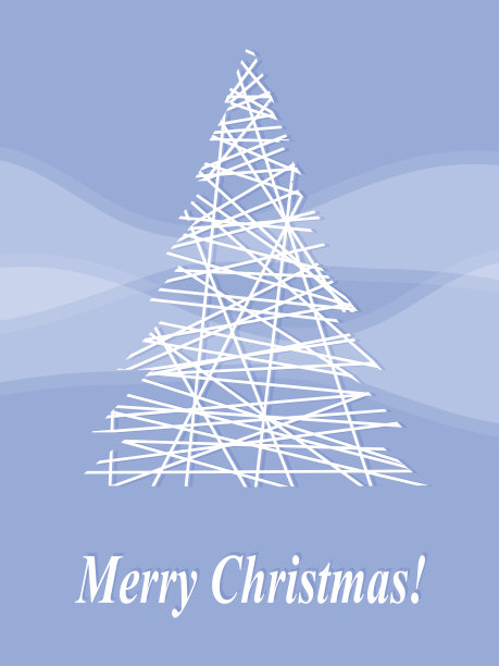 白云杉图片下载