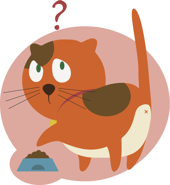 红猫在厨房图片下载