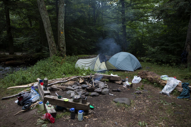 在卡茨基尔的森林深处露营图片下载
