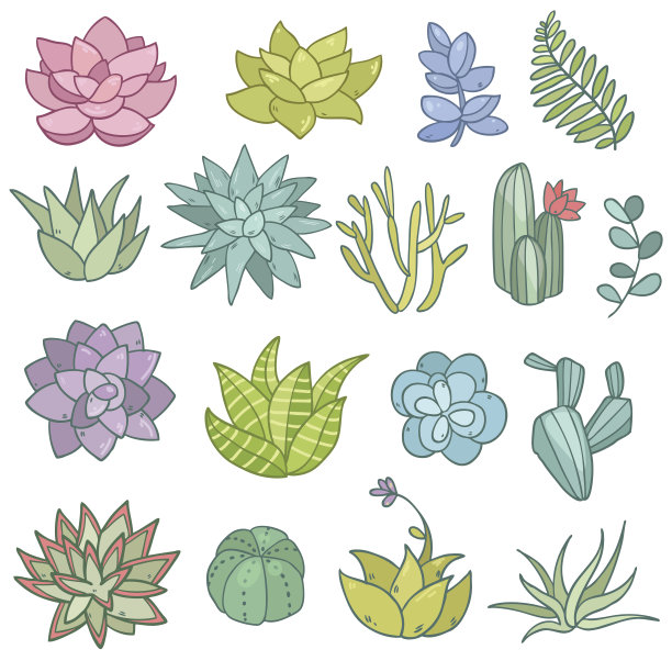 多汁的花图片下载