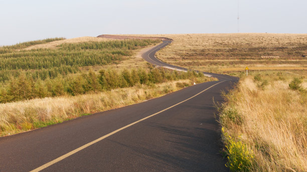 草原上的吗?路图片下载
