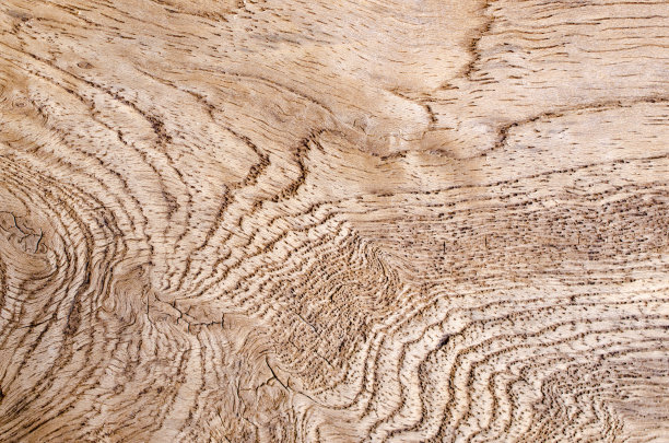 木材纹理图片下载