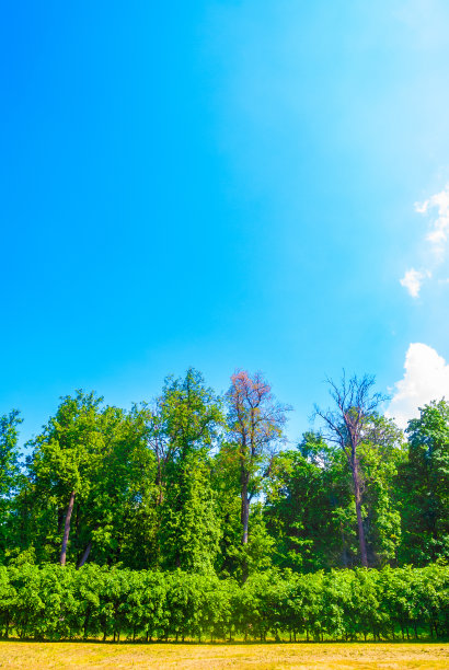 春天的风景图片下载