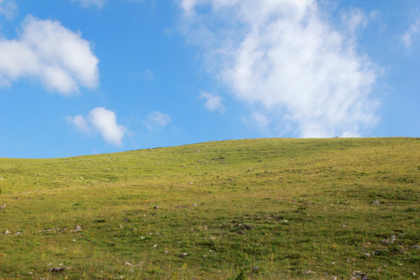 草地图片下载