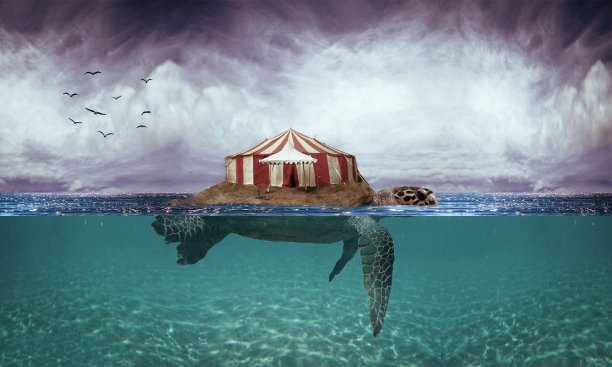 马戏团的tutouise图片下载