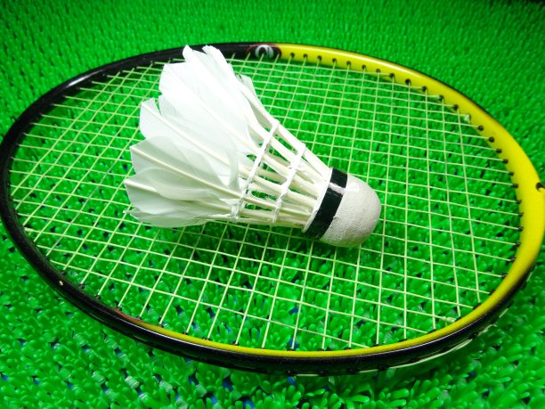 用羽毛球拍拍毽子图片下载