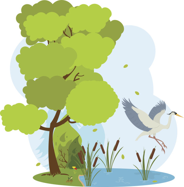 大苍鹭飞过池塘。图片下载