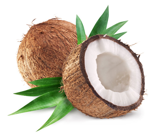 椰子和一半的叶子。图片下载