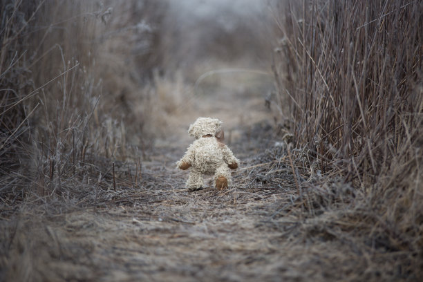 被遗弃的泰迪熊走向了世界图片下载