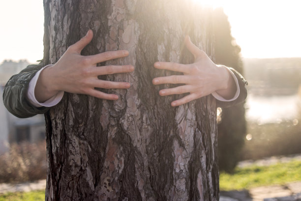 不认识的女人拥抱树干在par图片下载